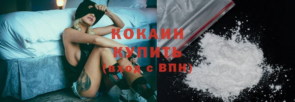 МДПВ Дмитриев