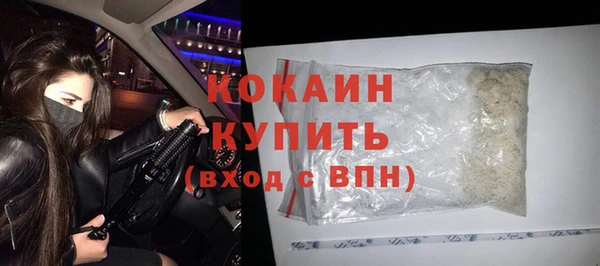 МДПВ Дмитриев