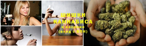 МДПВ Дмитриев