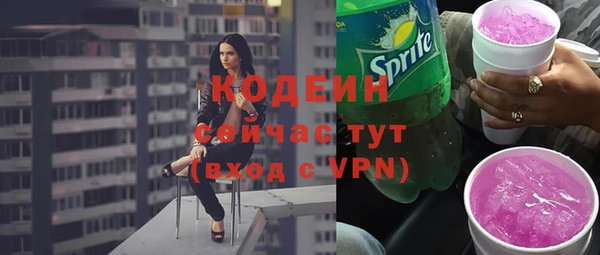 МДПВ Дмитриев