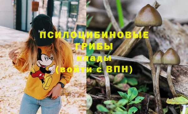 трава Заволжье