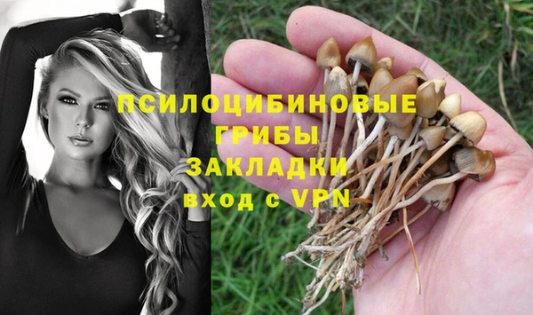 гашиш Дмитров