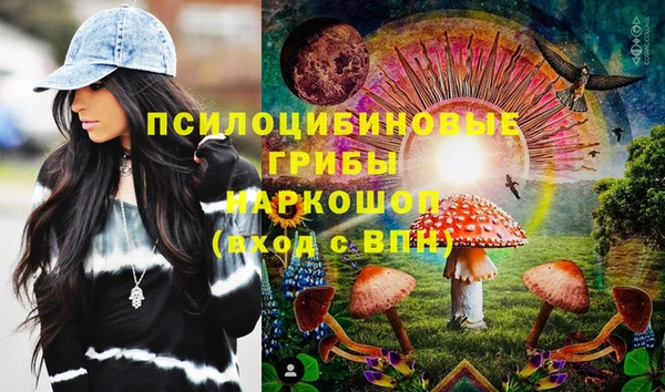 МДПВ Дмитриев