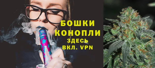 МДПВ Дмитриев