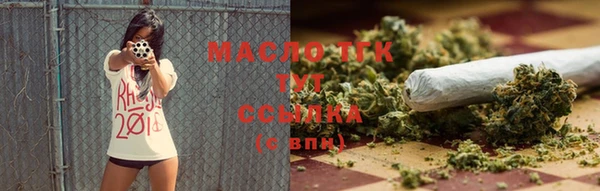 МДПВ Дмитриев