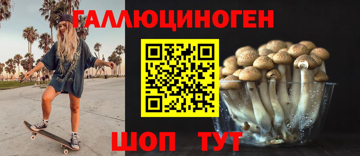 Волжский  Псилоцибиновые грибы прущие грибы  Вход с VPN 